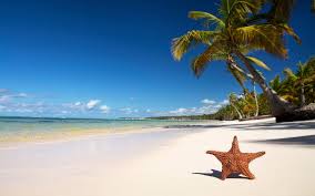 4k drone view beach wallpapers. 4k Ultra Hd Beach Wallpapers Top Free 4k Ultra Hd Beach Backgrounds Wallpaperaccess