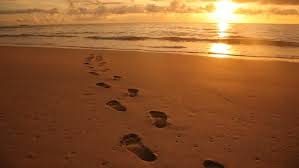 Image result for footprints in the sand images