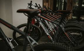 Cruiser bike rentals near me. Rent An E Bike And Discover The Wonderful Area
