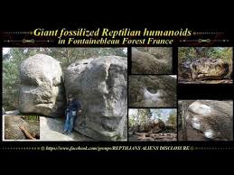 X60 X60 Giant Fossilized Reptilian Humanoids In Fontainebleau Forest France Confirmed Youtube Ancient Tree Giants Ancient