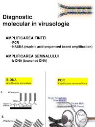 Removing a single nucleotide or 2 would mess everything up. Diagnostic Molecular In Virusologie Amplificarea Tintei