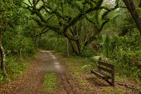 Fort Cooper Hiking Trails | Florida Hikes!