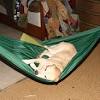 This hammock is 55 w x 56 l and fits most vehicles. Https Encrypted Tbn0 Gstatic Com Images Q Tbn And9gcq4aj Q2qfci Q Fldfhemfjr45vix6h3bcrmtj Sldsgysiln8 Usqp Cau