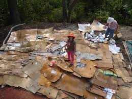 You have already started no dig without knowing! No Dig Garden Beds Permaculture Visions