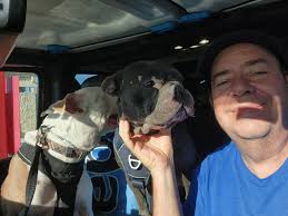 Hi all! I just wanted to introduce myself and share a photo I took. New  jeep owner here. Planning lots of camping with my healer in the jeep.