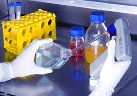 Check spelling or type a new query. Animal Cell Culture Technology Biozeen Training