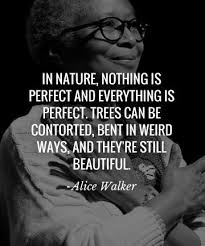 17 Empowering Quotes From Women Of Color Empowering Quotes Imperfection Quotes Daily Inspiration Quotes