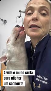 Se você já teve um cachorro, sabe o que falo!, Se não teve ainda, dá tempo!  , Prefira a adoção! , E saiba que com ele virão obrigações !, Gastos,  atenção, mas o amor por você será visível até no dia ...