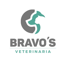 Bravo's Veterinaria