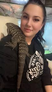 Any bearded dragon enclosure entertainment center ideas?