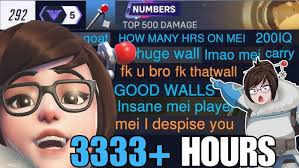 What 2500+ HOURS of MEI Looks Like