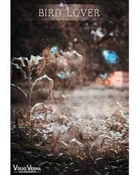 Picsart Hd Wallpaper Picsart Background Images Free Download Picsart Background Love Background Images Iphone Background Images