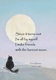 Yosa Buson Haiku Poems Japanese Poetry Haiku Poetry