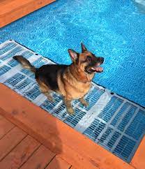 Doggie Deck Dog Pool Ramp Dog Pool Diy Dog Pool