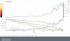 This dominance means it has tremendous momentum, which makes it the best cryptocurrency to invest in 2021 if you're a beginner, or if you simply don't trade much. Why This Could Mark A Top In Bitcoin Cryptocurrency Btc Usd Seeking Alpha