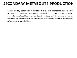 Check spelling or type a new query. Principles Of Crop Production Abt 320 3 Credit Hours Lecture 11 Biotechnlogical Approaches In Plant Breeding In Vitro Culture Technology Micropropagation Ppt Download