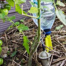 We did not find results for: Materiel D Arrosage Et Arrosages Goutte A Goutte Atout Loisir
