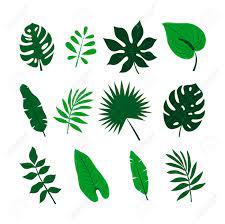 Watch our how to stencil videos and get inspired by browsing our stencil blog and stencil ideas gallery! Vintage Botanical Leaf Print Tropical Leaf Print Vintage Botanical Print Tropical Leaf Print Set Foliage Print Set Art Collectibles Prints Delage Com Br