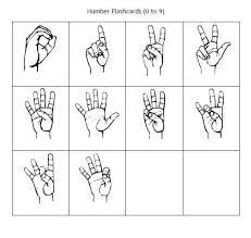 Have You Thought About Teaching Sign Language At Home Check Out This Free Printable Asl Flas Sign Language Phrases Sign Language Alphabet Sign Language Basics
