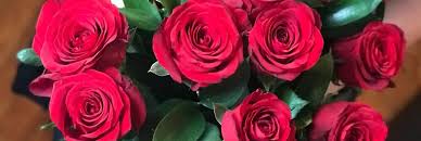 Make someone's day with a surprise flower and gift delivery today! 6 Tips To Make Your Roses Last Longer Blog Free Flower Delivery Across The Uk From Clare Florist