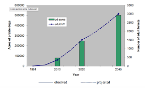 black footed ferret population chart related keywords