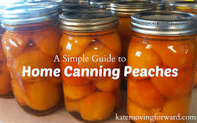 Everyone has and the peach cobbler still comes out perfect. How To Can Peaches An Easy Step By Step Guide Chasing Vibrance