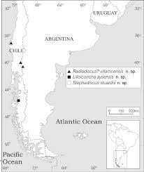 Check out our argentina chile map selection for the very best in unique or custom, handmade pieces from our there are 346 argentina chile map for sale on etsy, and they cost $20.93 on average. Location Map Of New Species In Chile And Argentina Download Scientific Diagram