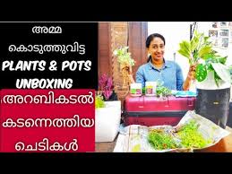 Cement Flower Pot Making Malayalam Chedichatti Making Malayalam Pot Painting Ideas Youtube