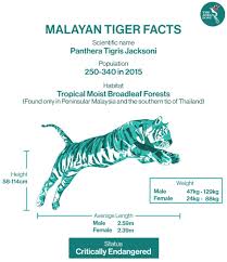 We did not find results for: Malaysia S National Symbol No More The Asean Post