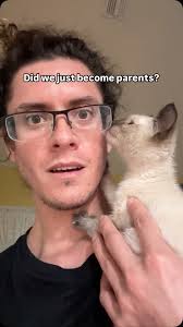 Did we just…. Become parents?? , #reels #omg #reelsvideo❤️ #cats  #cats_of_instagram #catdad #catering