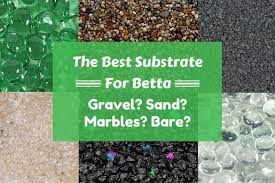 What is the best substrate for betta fish? Choosing Substrate For Betta Tanks Sand Gravel Marbles Betta Tank Betta Fish Care Fish Tank Gravel