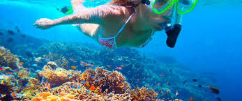 Scuba Diving In Tampa