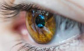 We did not find results for: Free Contact Lens Trial Try Contacts For Free Vision Express