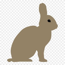 ✓ free for commercial use ✓ high quality images. Arctic Hare Clipart Transparent Arctic Hare Clip Art Png Download 1928170 Pinclipart