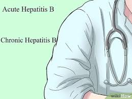 Hepatitis a virus and the origins of picornaviruses. Cara Mengobati Hepatitis B 7 Langkah Dengan Gambar Wikihow