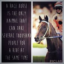 Quotes About Race Horses 60 Quotes
