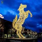 Outdoor Christmas Decorations LED Large Animals 3D Giraffe ...