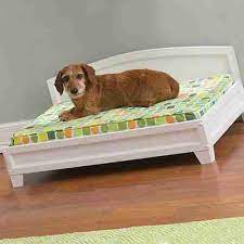 But the best elevated dog beds can be pretty great beds for the right dog. Best Elevated Dog Bed