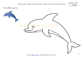 Coloring page of step by step dolphin. Example Coloring Page Dolphin Color Picture Of Dolphin