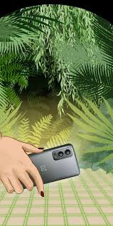 Upon being released, he returns to san vanelona to . Oneplus Nord 2 5g