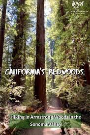 Armstrong Woods Hiking In Sonoma S Redwoods One Girl Whole World California Travel California Hikes Travel Usa