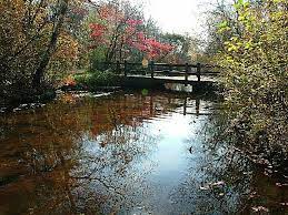 Belmont county is now the state's leading producer of coal with an estimated 5,668 million tons of coal available below the earth's surface. Belmont Lake State Park A New York State Park Located Near Amityville Babylon And Baldwin