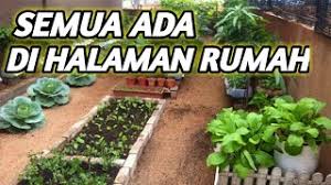 Anda akan belajar cara membuat vas, pot gantung, dan hiasan dinding. Buatlah Kebun Sayur Kecil Di Luaran Mini Jardiner Malin Berkebun 2021