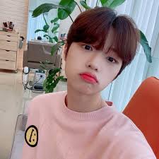 Edwar Samuel Alfaro Cubas (alfarocubas)