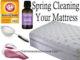 How To Spring Cleaning Your Mattress The Homestead Survival Mattress Cleaning Spring Cleaning Mattress