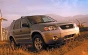 Image result for Orange Crush 2006 Escape