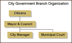 City Manager How The City Works