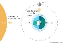 the moon causes tides on earth