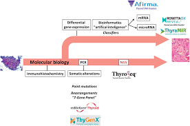 The bethesda system suggests a six category classification system to report thyroid fnab results: Can Current Molecular Tests Help In The Diagnosis Of Indeterminate Thyroid Nodule Fnab