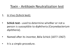 Schick test was used to determine the causes of diphtheria. Ppt Neutralization Test Powerpoint Presentation Free Download Id 1995390